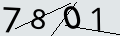 verifycode